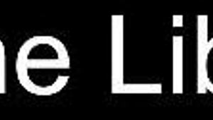 The Libido Enigma Erotic Game Demo