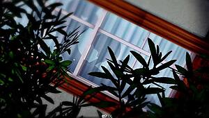 sword art online ntr dengan tetek besar 😏