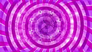 Slippery And Wet Sissification Training Instructions With Anal