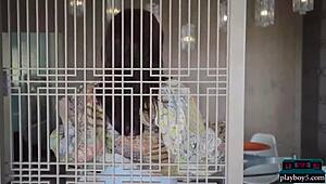 Milf gostosa Kenna Vanessa tira lingerie e fica pelada