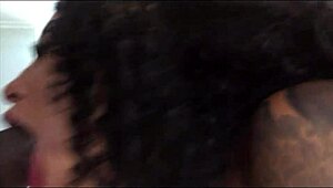 yo, brazilian pov blowjob comp with b breezy & more is fire! 🔥