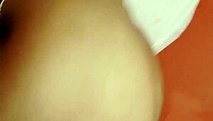 sundaydogood614 update 173 vid 20240501 021952 may 01 2024