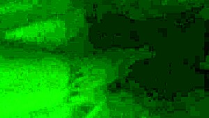 i'm a chubby mature amateur giving blowjob and fingering on phone.