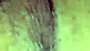 Close up view of fucking the wet pussy bareback with big cock