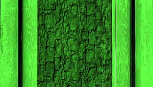 wbp378 - i am shelly - homecoming part 1