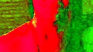 wonder star in pantyhose