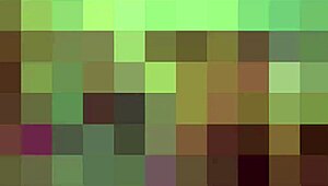 Will you bow to me as your goddess or suffer punishment?