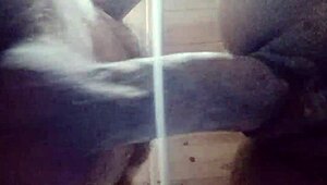 vamos foder gostoso com essa latina curvy