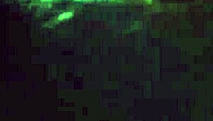 vamos foder gostoso com essa latina curvy