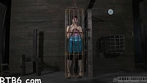 four beauties locked in petite cage for rough play.