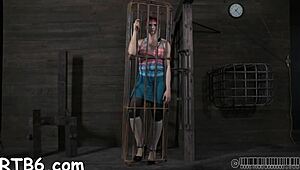 four beauties locked in petite cage for rough play.