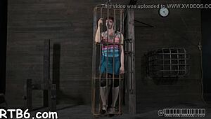 four beauties locked in petite cage for rough play.