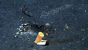 Cassie Young Sucks and Fucks Smoker Hard While Lighting Up Herself