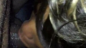 ¿Boca húmeda lista para verga negra en este juego travieso de mamada?