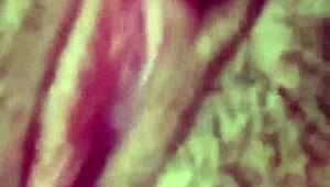 i fuck my hot latina girlfriend's wet pussy in pov