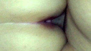 Novinha De M Zl