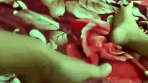 Indonesian aunt shares family story with german friend