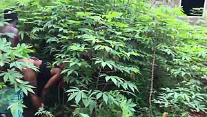 Softkind Delivers Christmas Gift by Taking Latina Stepmom from Behind in Bush