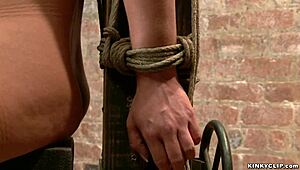 Jak zvládne zaknebovaná a svázaná lesba deepthroat dusení s bizarními svázanými hračkami?