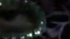 Late night cock sucking