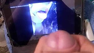 تريبيوتو بارا أنجليس ديل مار 2 فيديو