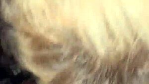 mature latina whore deepthroats big black cock in interracial blowjob scene