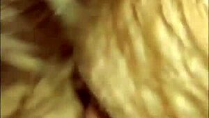 Watch these best blowjobs and Greek kisses from Latina teens