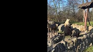 Quiet girl in the office also fun at parties!