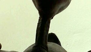 he came but i kept sucking that big cum load