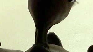 he came but i kept sucking that big cum load