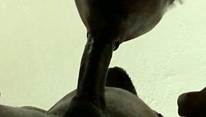 he came but i kept sucking that big cum load