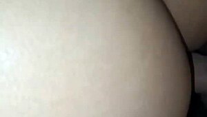 Homemade Anal Sex With Fat Stepbrother In Bathroom