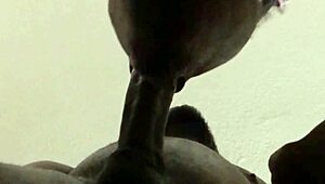 he came but i kept sucking that big cum load