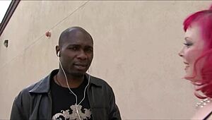 Miss Bunny loves being a black chasing cougar bitch with big tits lingerie anal fingering and assfucking.