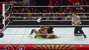nikki bella vs naomi in extreme rules 2015