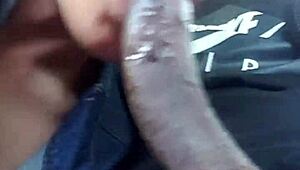 Is that wet head in the car making you excited?