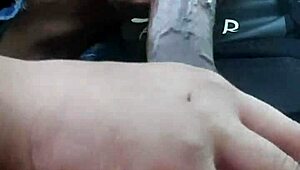 Is that wet head in the car making you excited?