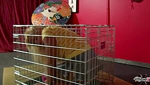 Blowing Scott Rhodes to Escape Cage