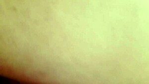 sundaydogood614 shares update 192 on may 10 2024