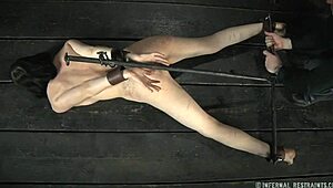 Shocking Beauty's Hawt Assets in Rough Competition