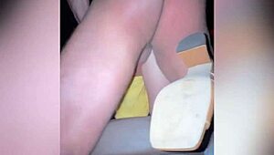 escapou de novo fui inseminada na casa de swing