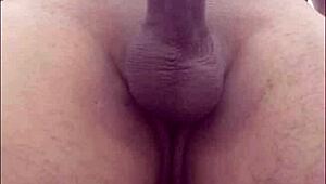 Compilation of all my photos in different facets 😊