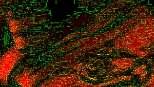 real homemade wedding fuck with bride and groom