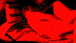 real homemade wedding fuck with bride and groom