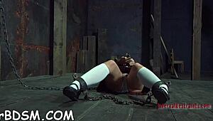 Coarse And Wild Toy Plowing