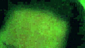 Indian woman loves her fat pussy filled with black monster cock