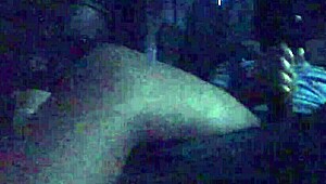 yo, why's this guy jerking that huge oiled cock?