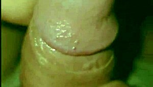 سمينة دومينيكان تنحني لمص زب مع كس مشعر