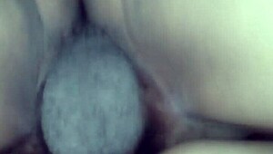 Memek Botak Doggy Style Detail Gak Berbulu