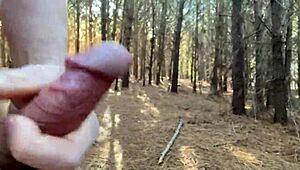 Clitlicker662 błyska brudnym orgazmem w lesie, voyeur update!